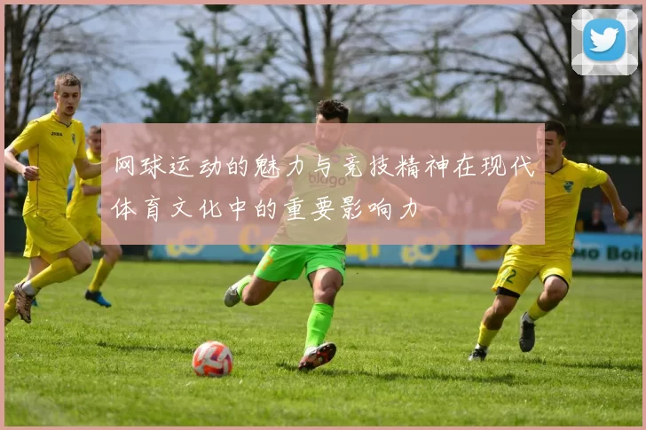网球运动的魅力与竞技精神在现代体育文化中的重要影响力