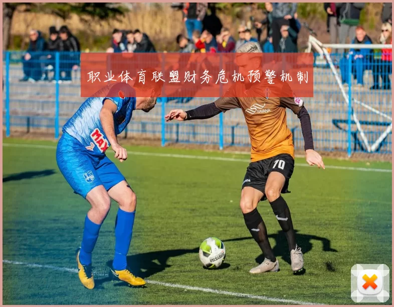 职业体育联盟财务危机预警机制