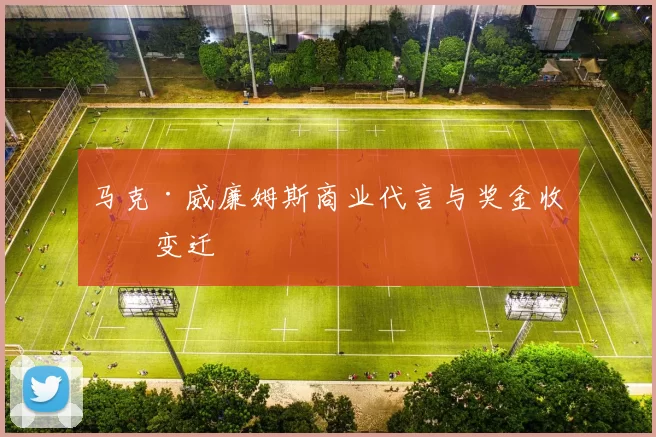 马克·威廉姆斯商业代言与奖金收入变迁