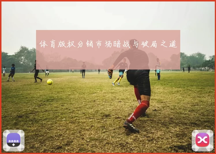 体育版权分销市场暗战与破局之道