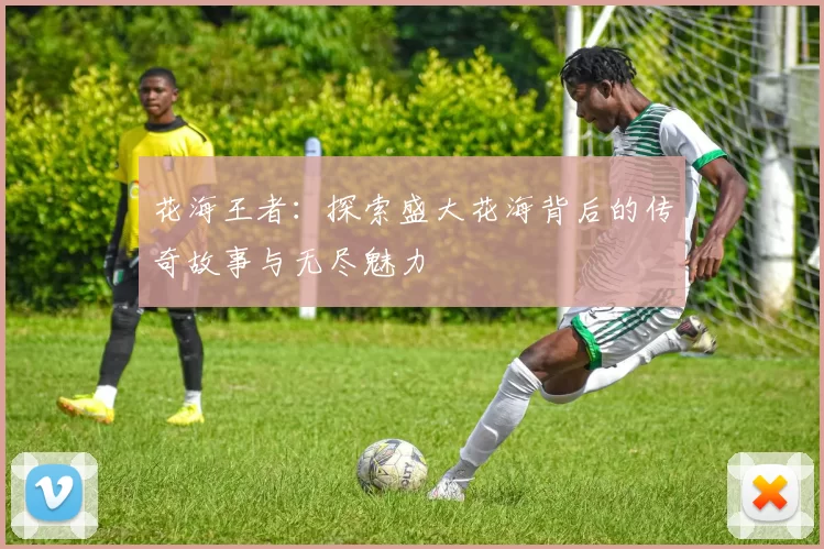 花海王者：探索盛大花海背后的传奇故事与无尽魅力