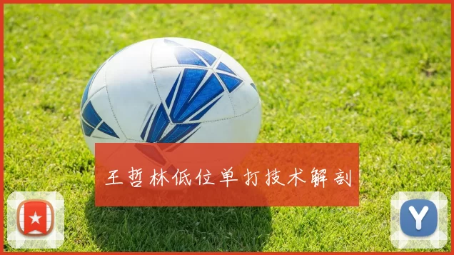 王哲林低位单打技术解剖